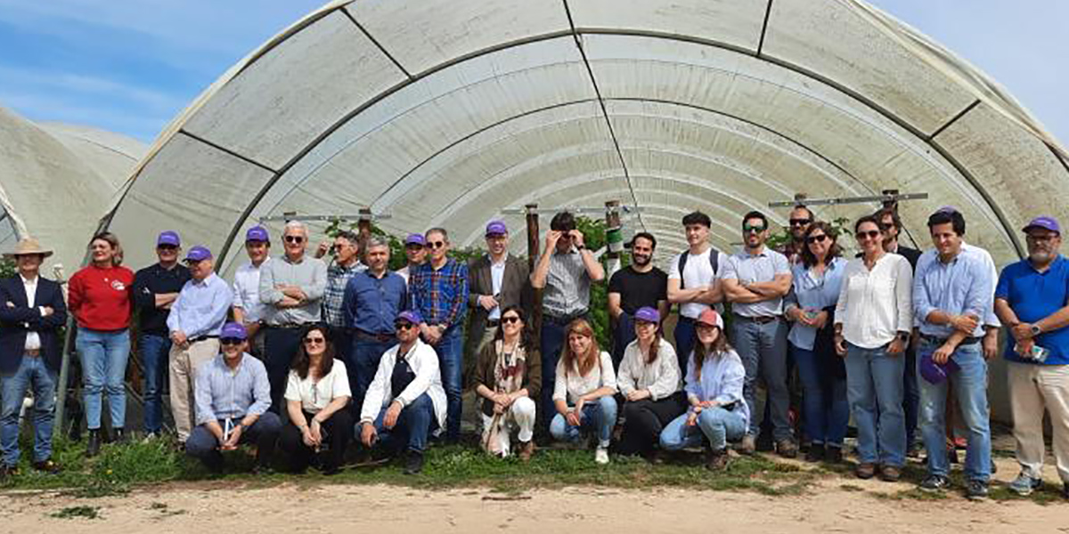Gruppo di contatto Fragola: si punta sull'innovazione